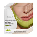 CactoLift – A Faixa Lifting Com Tecnologia Coreana Que Reduz a Papada e Esculpe o Contorno da Mandíbula